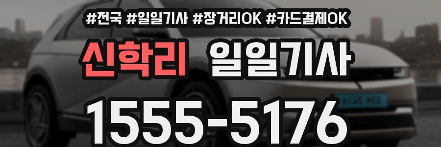 신학리 일일기사