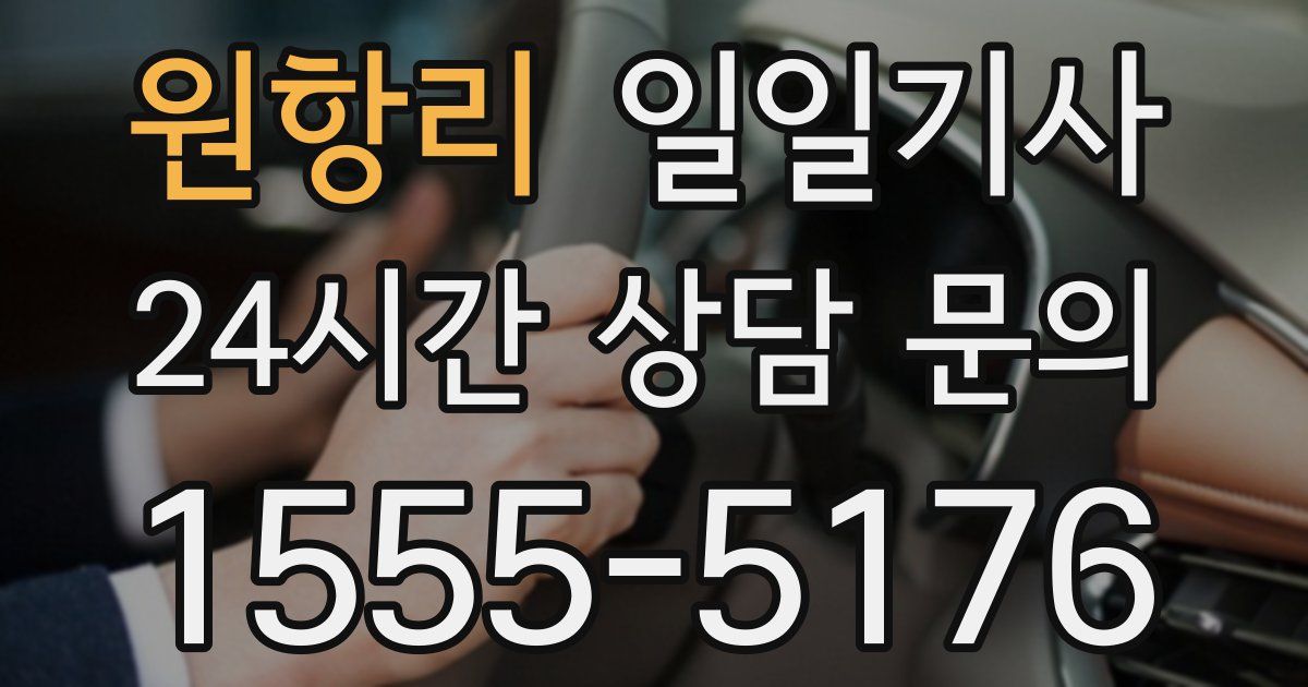 일일대리기사