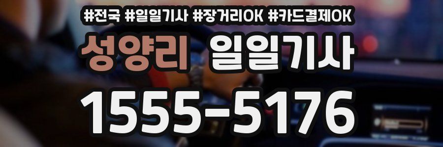 성양리 일일기사