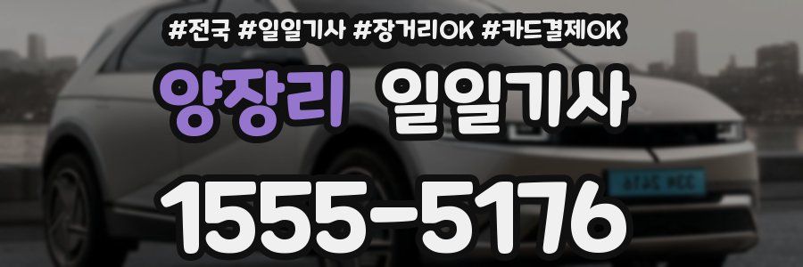 양장리 일일기사