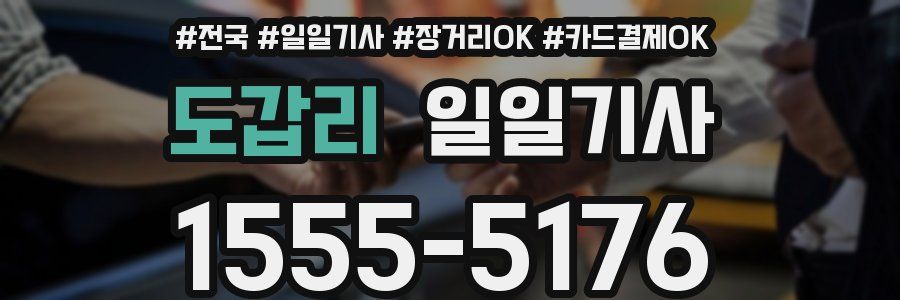 도갑리 일일기사