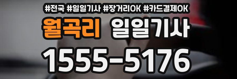 월곡리 일일기사