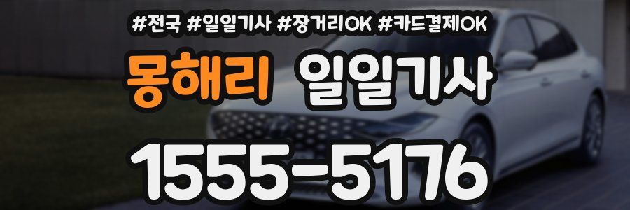 몽해리 일일기사