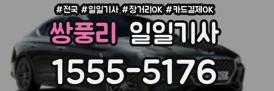 쌍풍리 일일기사