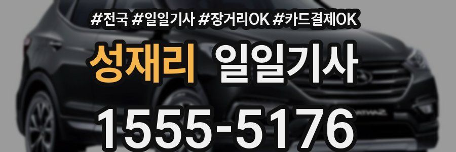 성재리 일일기사