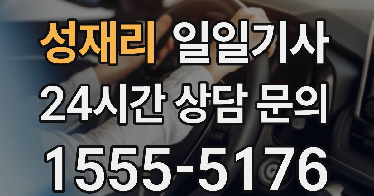 일일대리기사