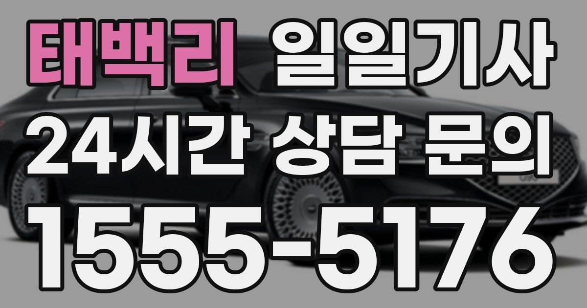 일일대리기사