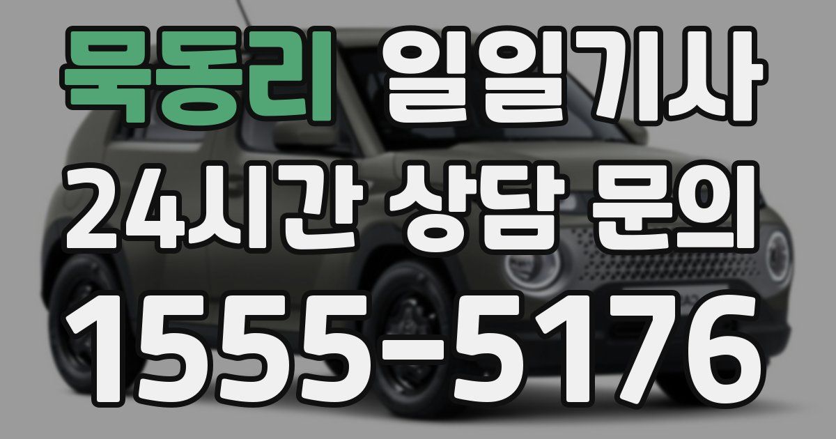 일일대리기사