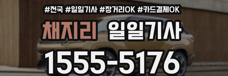 채지리 일일기사