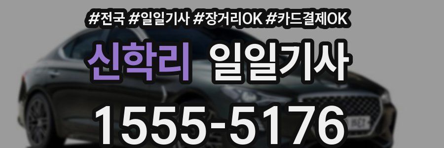 신학리 일일기사