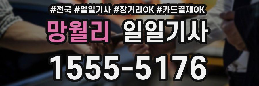 망월리 일일기사