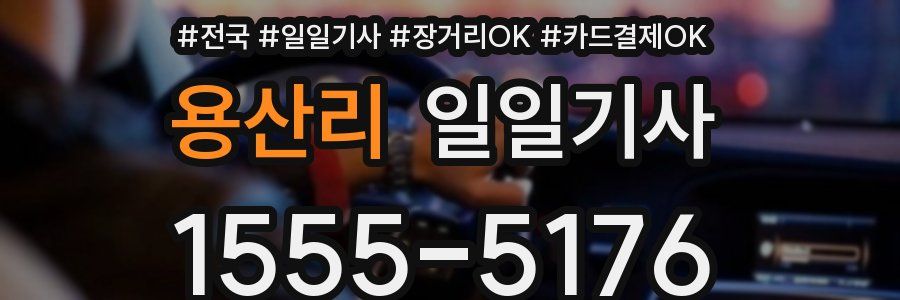 용산리 일일기사