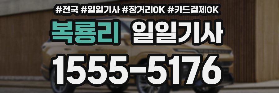 복룡리 일일기사