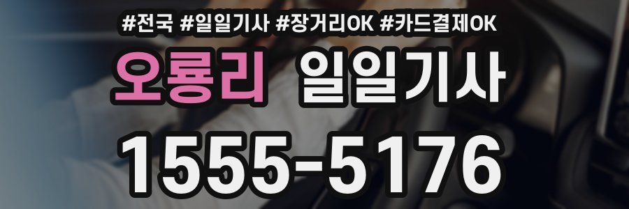 오룡리 일일기사