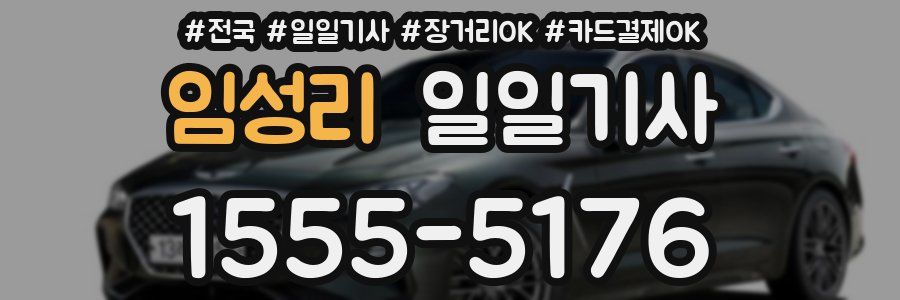 임성리 일일기사