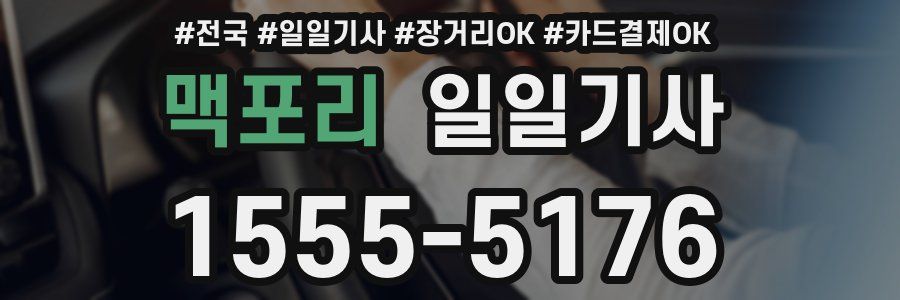 맥포리 일일기사