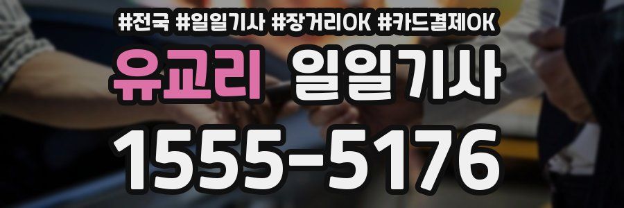 유교리 일일기사