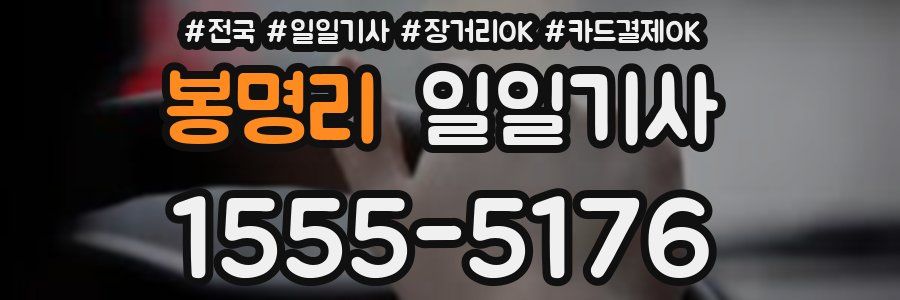 봉명리 일일기사