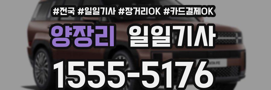 양장리 일일기사