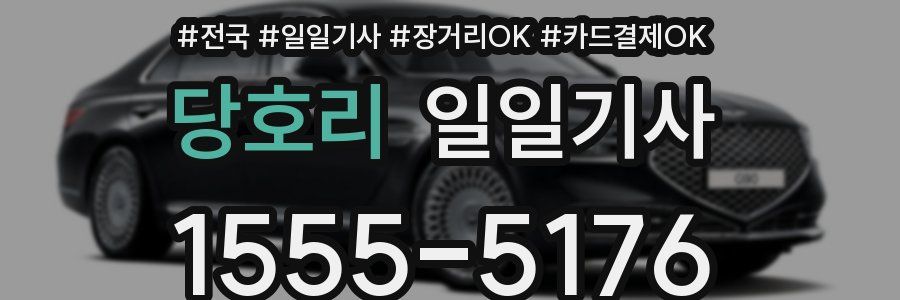 당호리 일일기사