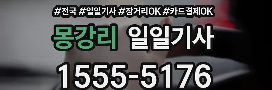 몽강리 일일기사