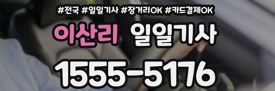 이산리 일일기사