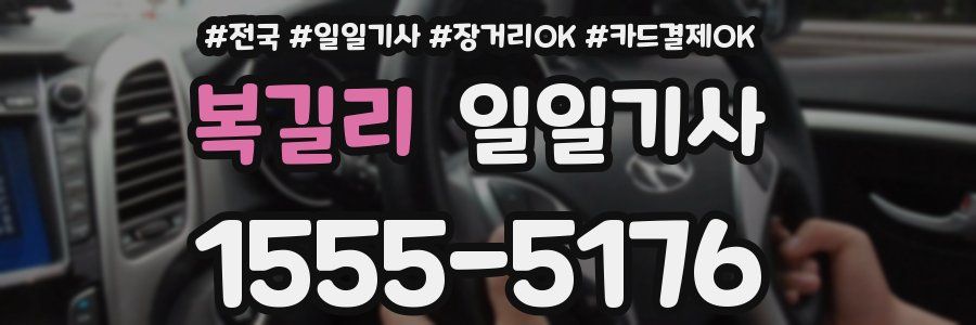 복길리 일일기사