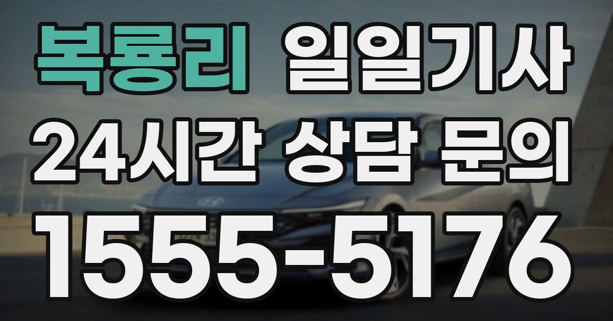 일일대리기사