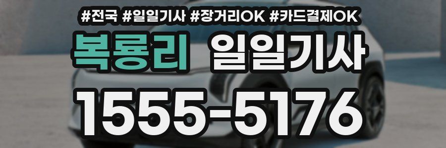 복룡리 일일기사