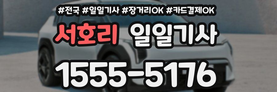 서호리 일일기사