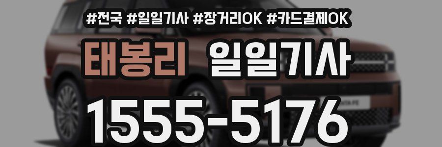 태봉리 일일기사