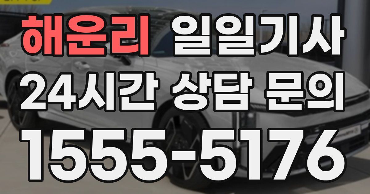 일일대리기사