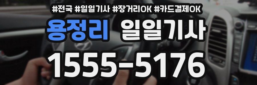 용정리 일일기사