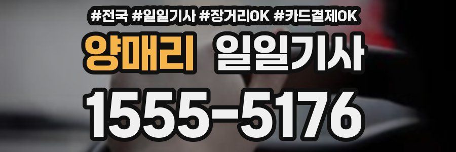 양매리 일일기사