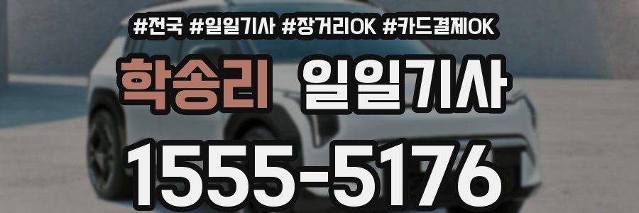 학송리 일일기사