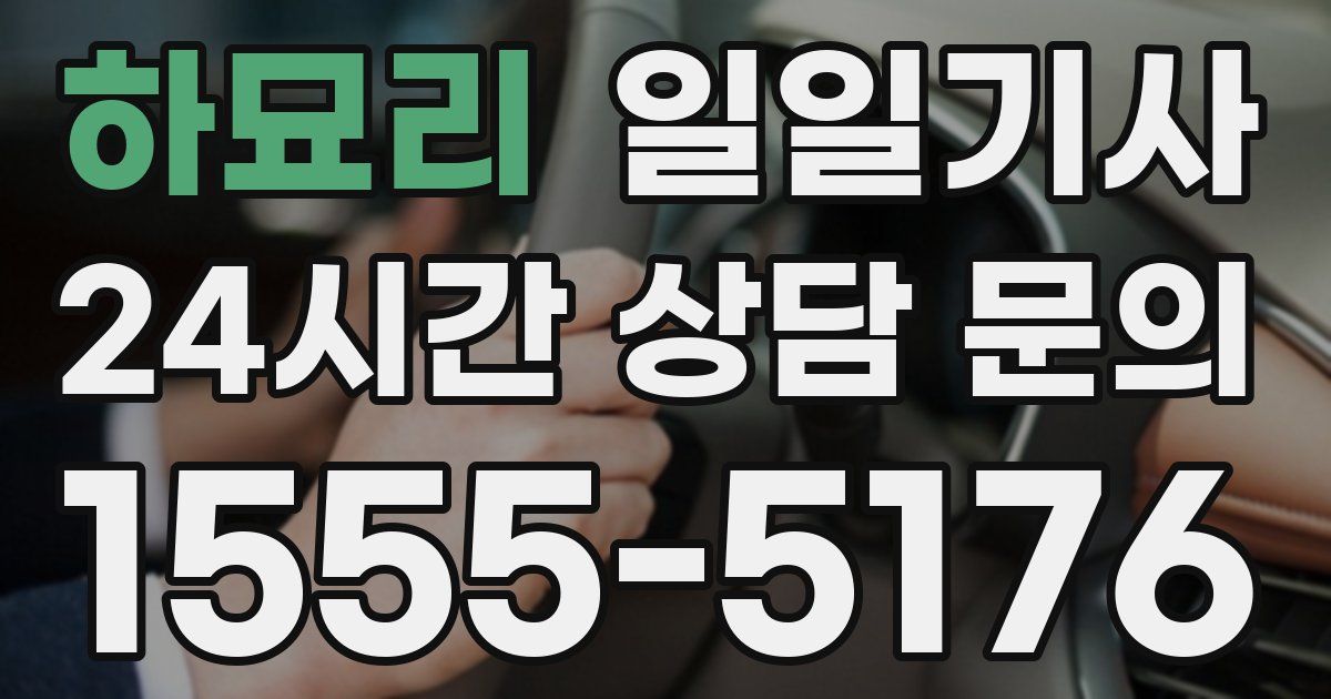 일일대리기사