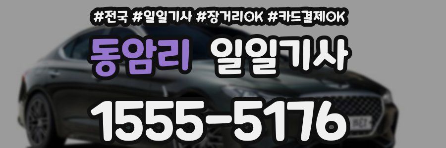 동암리 일일기사