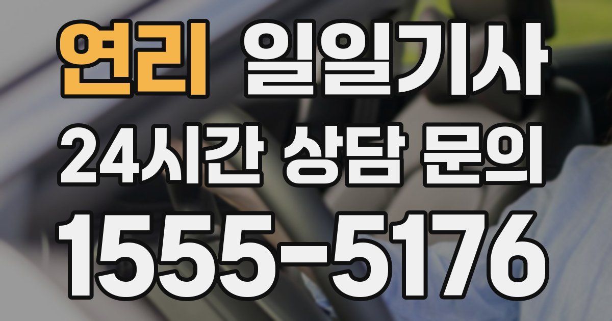 일일대리기사