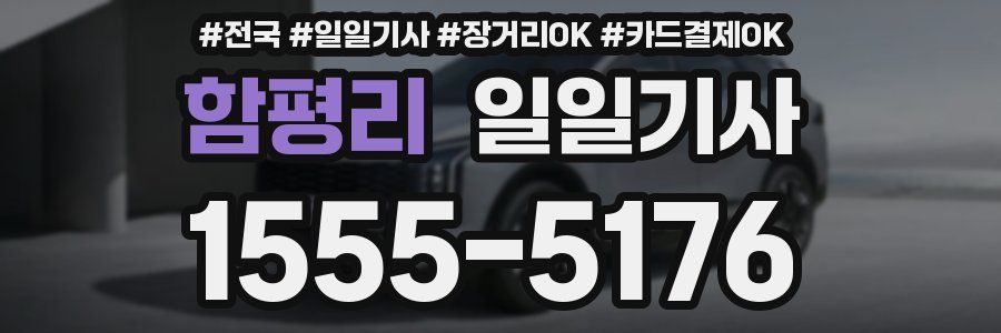 함평리 일일기사