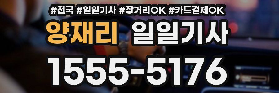 양재리 일일기사