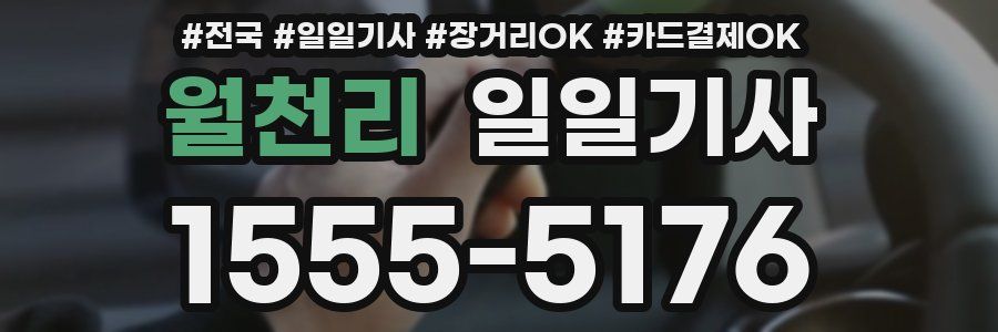 월천리 일일기사