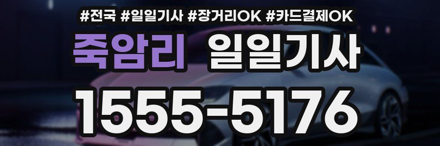 죽암리 일일기사