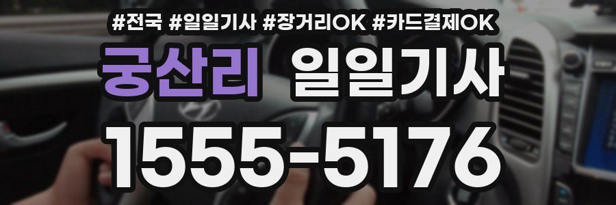 궁산리 일일기사