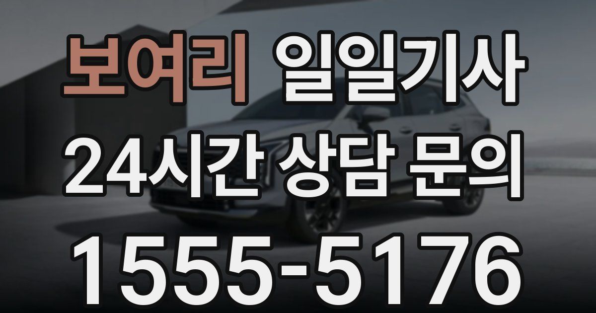 일일대리기사