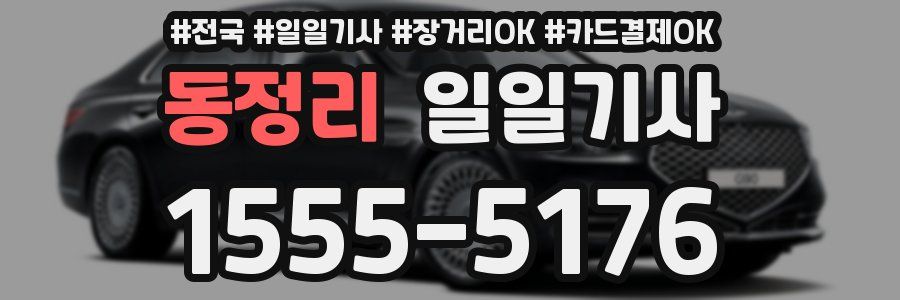 동정리 일일기사