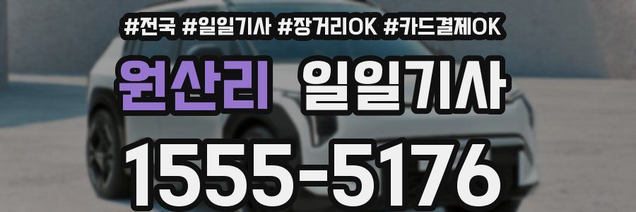 원산리 일일기사