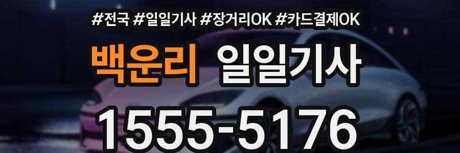 백운리 일일기사