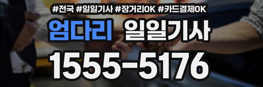 엄다리 일일기사