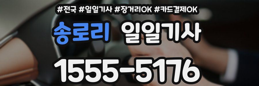 송로리 일일기사