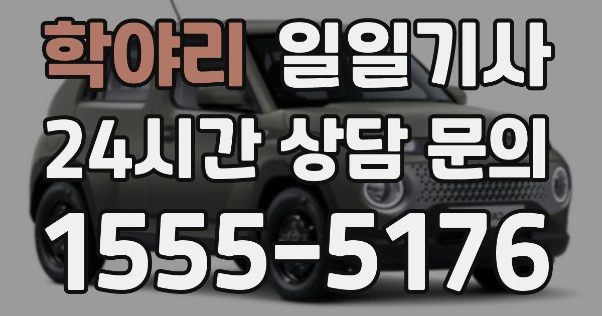일일대리기사
